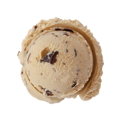Mocha Chocolate Chip ice cream