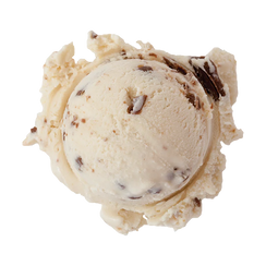 Peanut Butter Chocolate Chip ice cream