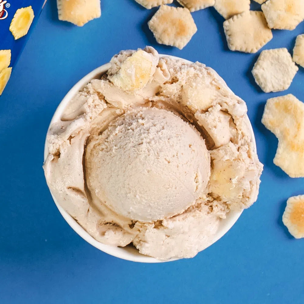 Skyline Spice ice cream in a bowl