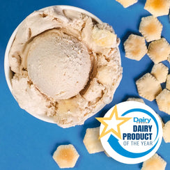 Skyline Spice ice cream
