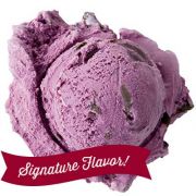 Graeter's Signature Flavor, Black Raspberry Chocolate Chip Ice Cream
