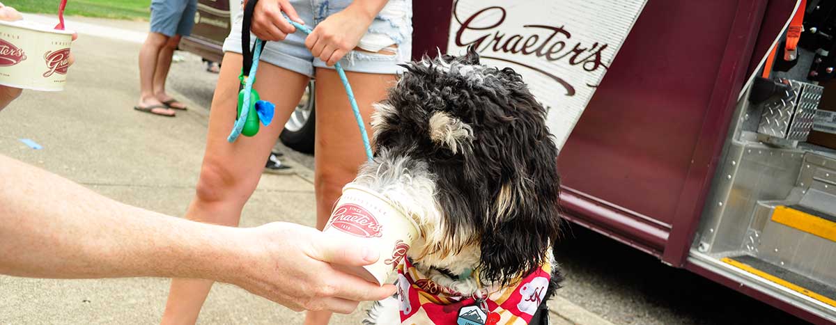 Graeter's Dogs Night Out