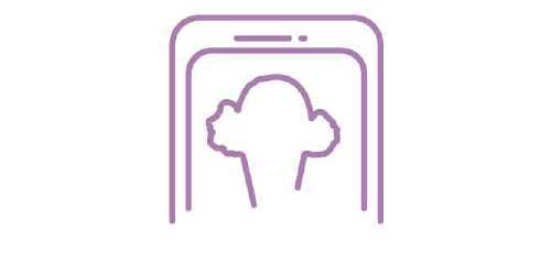 Graeter's Ice Cream App Icon