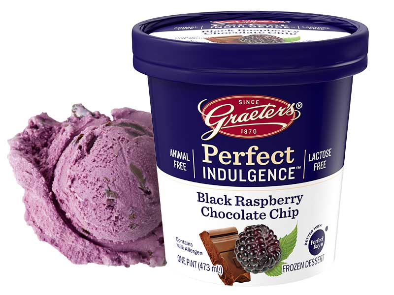 Graeter's Perfect Indulgence Black Raspberry Chocolate Chip Pint