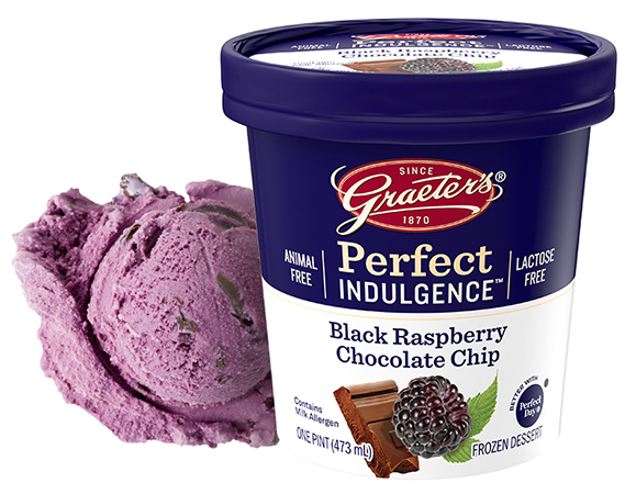 Graeter's Perfect Indulgence Black Raspberry Chocolate Chip