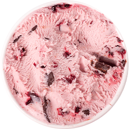 Graeter's Perfect Indulgence Black Cherry Chocolate Chip Frozen Dessert