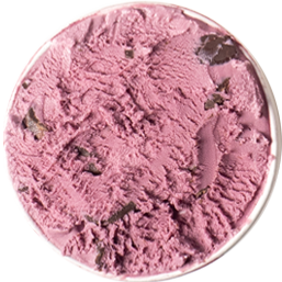 Graeter's Perfect Indulgence Black Raspberry Chocolate Chip Frozen Dessert