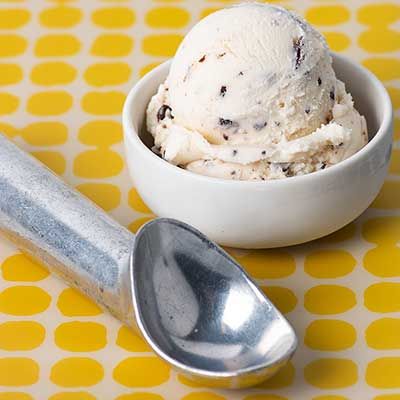 Scoop of Graeter's Chocolate Chip Ice Cream
