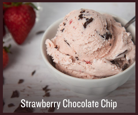 Strawberry Chocolate Chip Ice Cream
